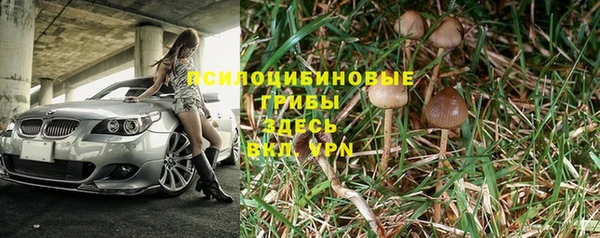 мяу мяу мука Зеленодольск