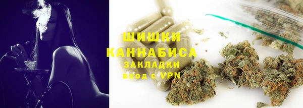 сатива Шадринск