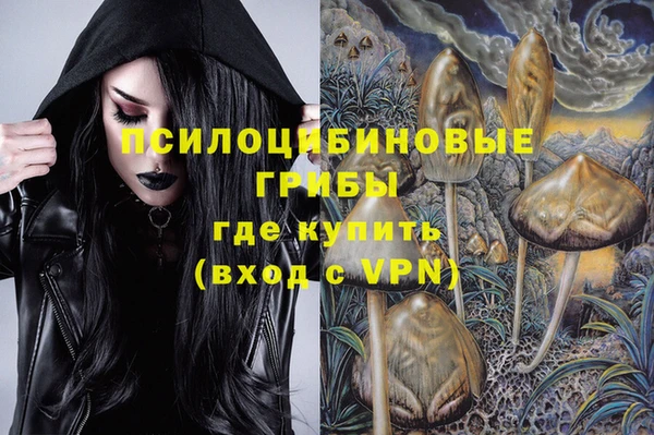 Альфа ПВП Зерноград