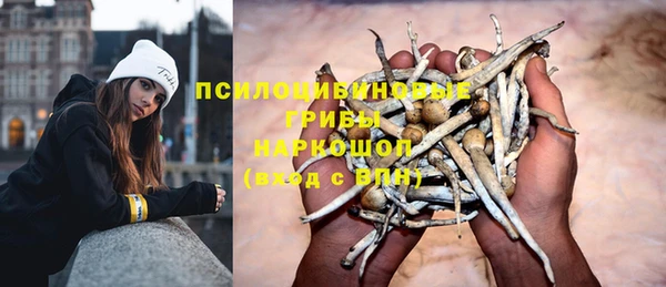 мяу мяу мука Зеленодольск