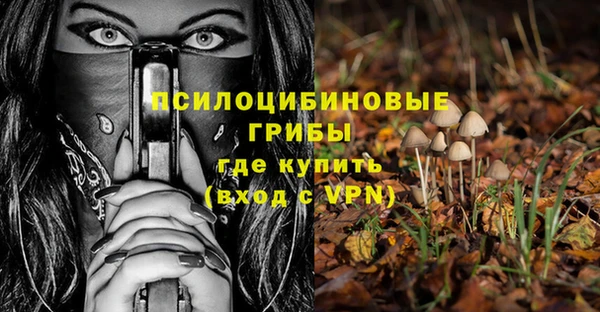 Альфа ПВП Зерноград