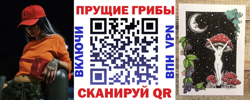 omg как войти  как найти   Среднеуральск  Псилоцибиновые грибы MAGIC MUSHROOMS 