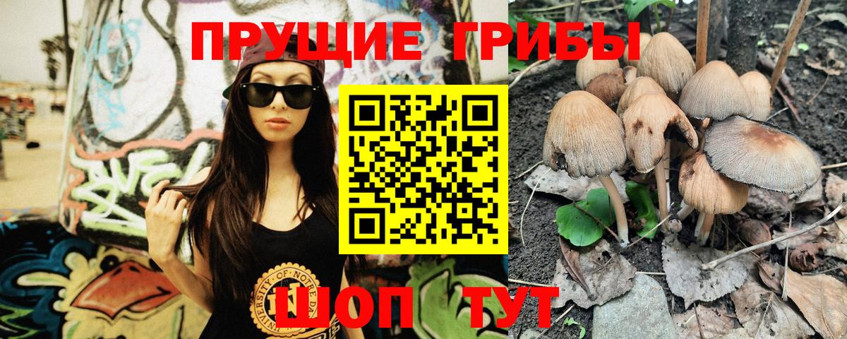 Галлюциногенные грибы Psilocybine cubensis Среднеуральск