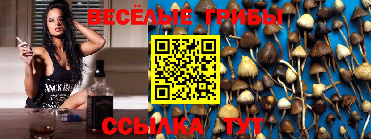 Псилоцибиновые грибы MAGIC MUSHROOMS  Вход с VPN  наркота  Среднеуральск 